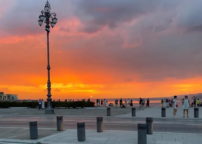 Trionfo Your In Business And Trieste