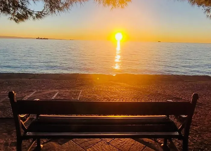 Daire Trionfo Your In Business And